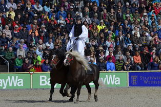 云开体育官方网站-匈牙利队惊险获胜晋级欧洲国家队赛事